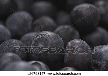Blueberries, close-up View Large Photo Image Stock Photo - Blueberries, close-up. Fotosearch