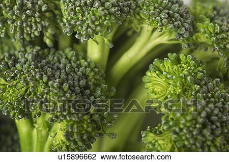 Stock Image - Broccoli, close-up. Fotosearch