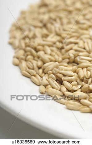 Stock Photo - Brown rice on plate, close-up. Fotosearch
