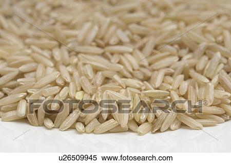 Brown rice on plate, close-up View Large Photo Image Stock Photography - Brown rice on plate, close-up. Fotosearch