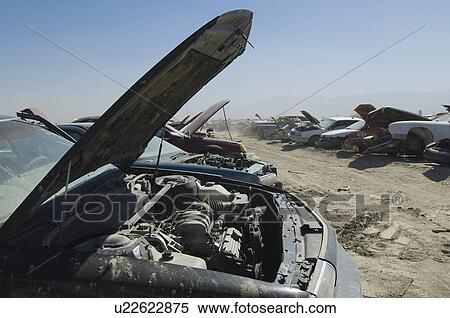 Cars in junkyard View Large Photo Image Stock Photography - Cars in junkyard. Fotosearch