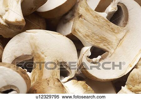 Champignons, close-up View Large Photo Image Stock Photography - Champignons, close-up. Fotosearch
