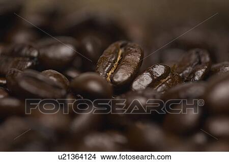 Picture - Coffee beans, close-up. Fotosearch