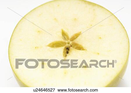 Cross section of granny smith apple View Large Photo Image Stock Photo - Cross section of granny smith apple. Fotosearch