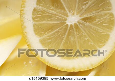 Stock Photography - Cross section of lemon. Fotosearch