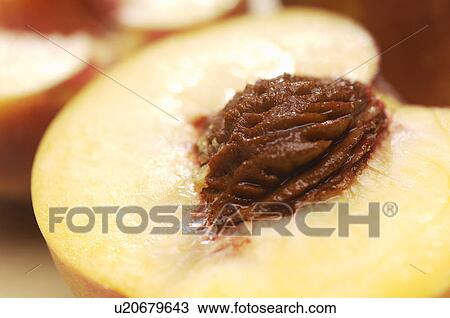 Stock Image - Cross section of peach. Fotosearch