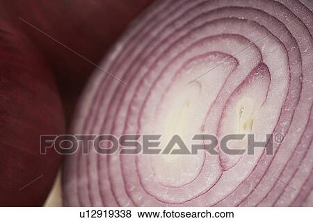 Cross section of red onion, close-up View Large Photo Image Stock Photo - Cross section of red onion, close-up. Fotosearch