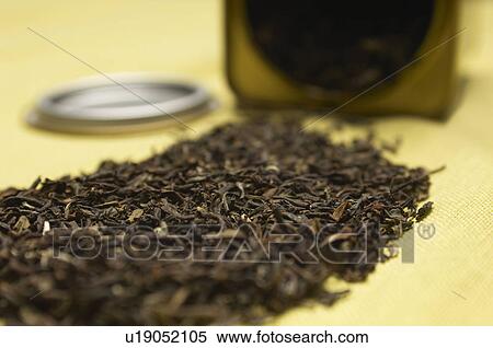 Dried tea leaves, close-up View Large Photo Image Stock Photography - Dried tea leaves, close-up. Fotosearch