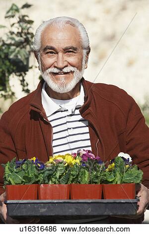 Stock Photograph - Elderly man holding tray with potted flowers. Fotosearch