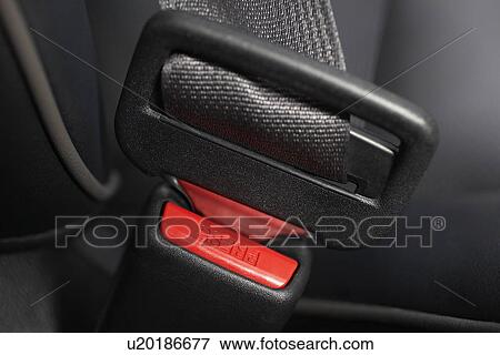 Fastened seat belt, close-up View Large Photo Image Stock Photo - Fastened seat belt, close-up. Fotosearch