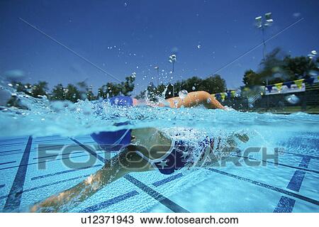 Female swimmer in pool, surface view View Large Photo Image Stock Image - Female swimmer in pool, surface view. Fotosearch