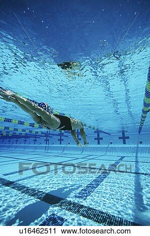 Female swimmer in pool, underwater view View Large Photo Image Stock Image - Female swimmer in pool, underwater view. Fotosearch