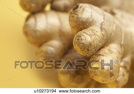 Ginger, close-up View Large Photo Image Picture - Ginger, close-up. Fotosearch