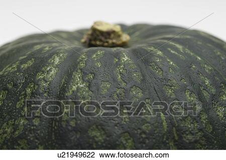 Gourd, close-up View Large Photo Image Stock Image - Gourd, close-up. Fotosearch