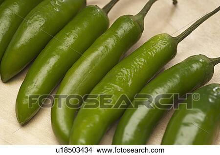 Picture - Green chili peppers in row, close-up. Fotosearch