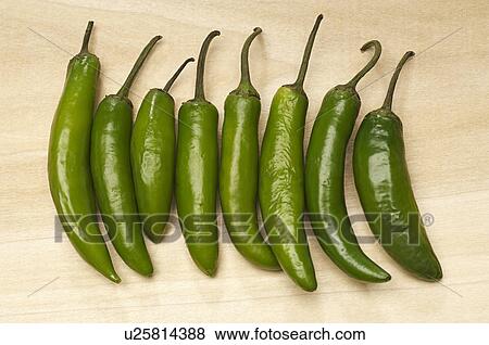 Stock Photo - Green chili peppers in row. Fotosearch