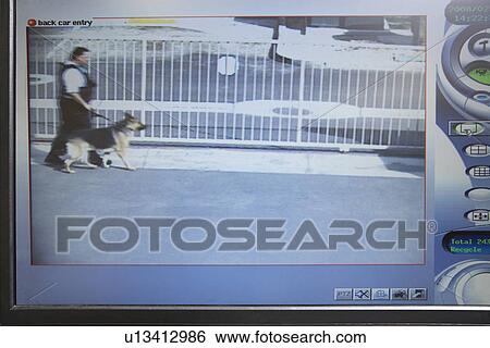 Guard with dog seen on picture from security camera View Large Photo Image Stock Photograph - Guard with dog seen on picture from security camera. Fotosearch