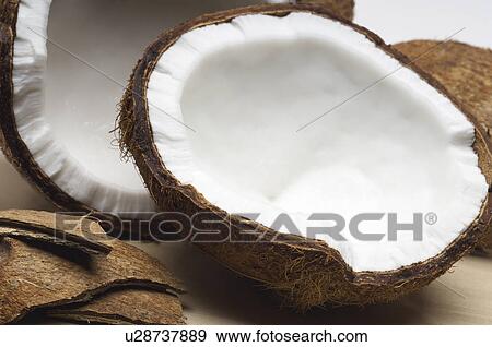Halved coconuts View Large Photo Image Stock Photo - Halved coconuts. Fotosearch