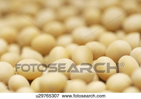 Stock Photo - Heap of chicken eggs. Fotosearch