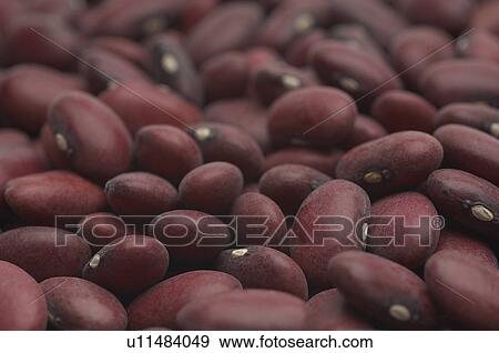 Stock Photo - Kidney beans, close-up. Fotosearch