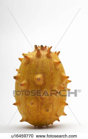 Kiwano fruit View Large Photo Image Stock Image - Kiwano fruit. Fotosearch