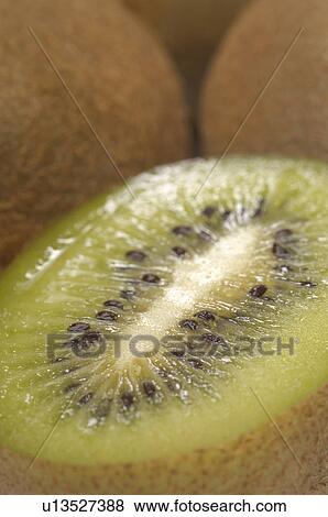 Kiwi fruit, close-up View Large Photo Image Stock Photo - Kiwi fruit, close-up. Fotosearch