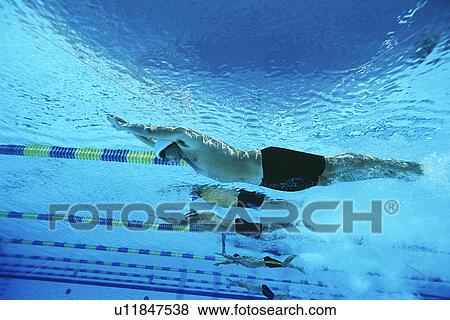 Stock Photo - Male swimmers racing in pool, underwater view. Fotosearch