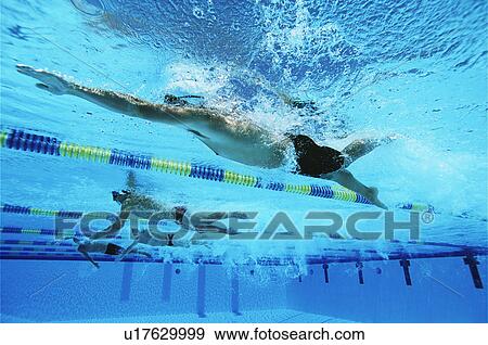 Stock Photo - Male swimmers racing in pool, underwater view. Fotosearch