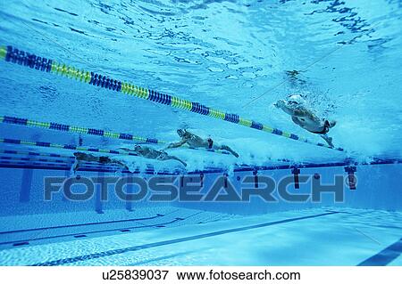 Stock Photo - Male swimmers racing in pool, underwater view. Fotosearch