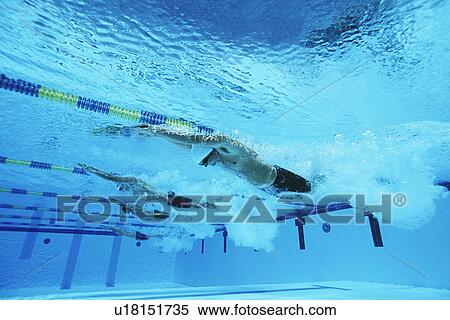 Stock Photography - Male swimmers racing in pool, underwater view. Fotosearch