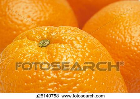 Stock Photo - Oranges, close-up. Fotosearch