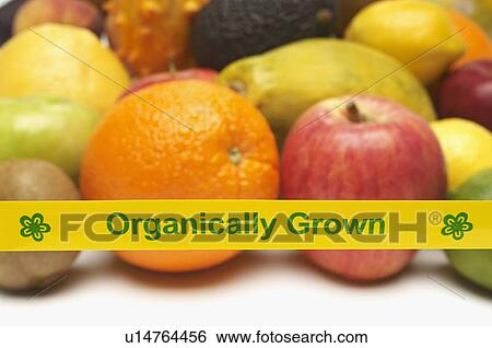 Stock Photograph - Organically grown fruits. Fotosearch
