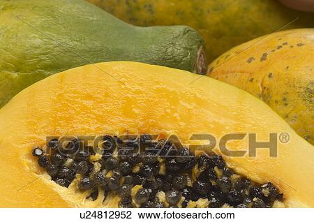 Papaya, close-up View Large Photo Image Stock Image - Papaya, close-up. Fotosearch
