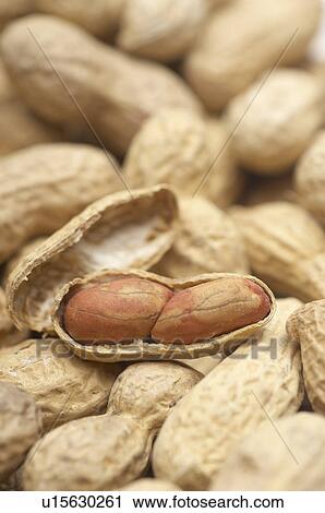 Stock Image - Peanuts, close-up. Fotosearch