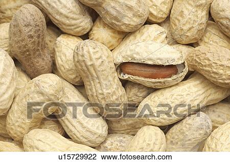 Stock Image - Peanuts, close-up. Fotosearch