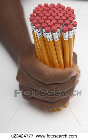 Person holding large group of pencils, close-up of hand View Large Photo Image Stock Photo - Person holding large group of pencils, close-up of hand. Fotosearch
