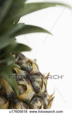 Pineapple, close-up View Large Photo Image Stock Photo - Pineapple, close-up. Fotosearch