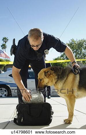 Police Dog Sniffing Bag View Large Photo Image Stock Image - Police Dog Sniffing Bag. Fotosearch