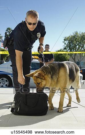 Stock Photo - Police Dog Sniffing Bag. Fotosearch