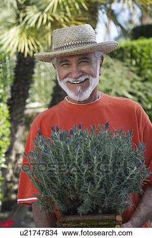 Picture - Portrait of elderly man with potted plant in garden. Fotosearch