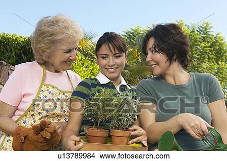 Portrait of three women gardening View Large Photo Image Picture - Portrait of three women gardening. Fotosearch