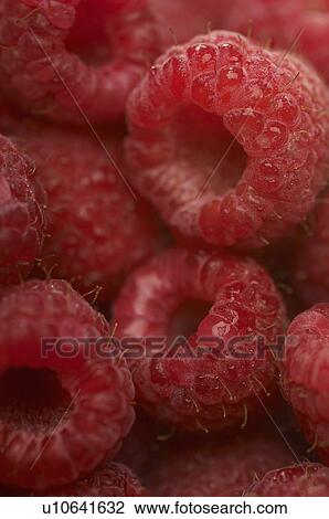 Stock Image - Raspberries, close-up. Fotosearch