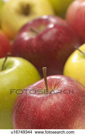 Picture - Red and green apples. Fotosearch