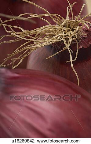 Stock Image - Red onion, close-up. Fotosearch