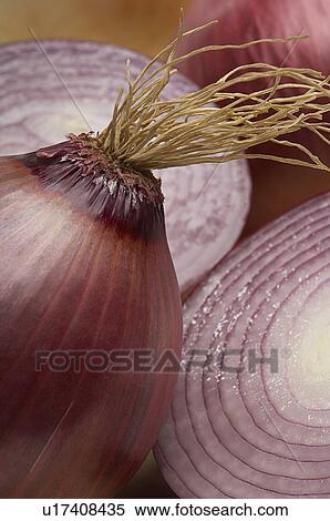 Stock Photography - Red onion, close-up. Fotosearch