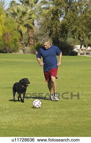 Stock Photograph - Senior man kicking soccer ball with dog in park. Fotosearch