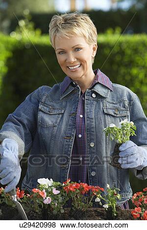 Senior woman planting flowers, portrait View Large Photo Image Stock Photo - Senior woman planting flowers, portrait. Fotosearch