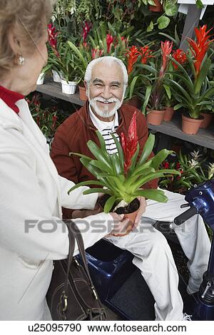 Stock Image - Senior woman showing potted flower to elderly man in garden center. Fotosearch