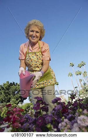 Senior woman watering flowers in garden View Large Photo Image Stock Photo - Senior woman watering flowers in garden. Fotosearch