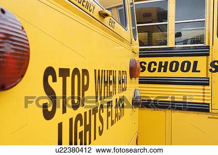 Stop When Red Lights Flash on School Bus View Large Photo Image Stock Image - Stop When Red Lights Flash on School Bus. Fotosearch